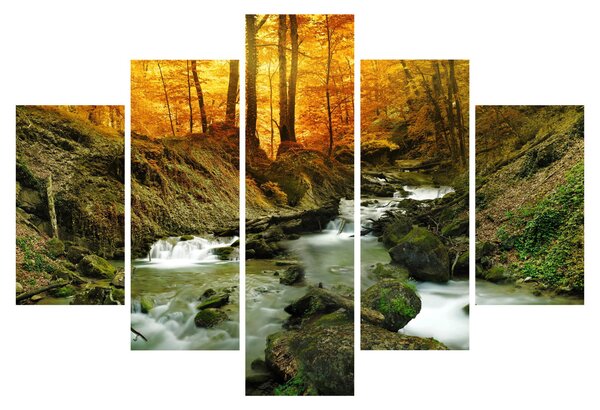 Kép - Erdő (150x105 cm)