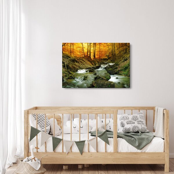 Kép - Erdő (90x60 cm)