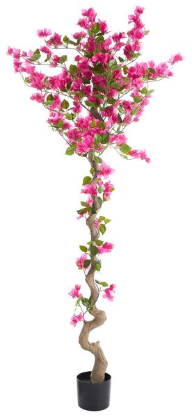 Műnövény BOUGAINILLEA TREE 180 cm Rózsaszín