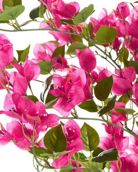 Műnövény BOUGAINILLEA TREE 180 cm Rózsaszín