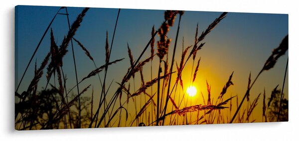 Kép - naplemente a réten (120x50 cm)