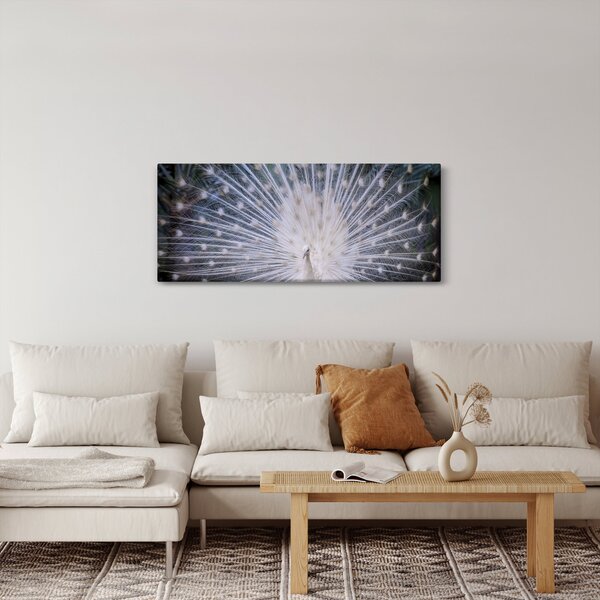 Kép - Fehér páva (120x50 cm)
