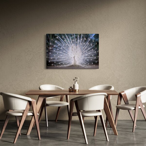 Kép - Fehér páva (90x60 cm)