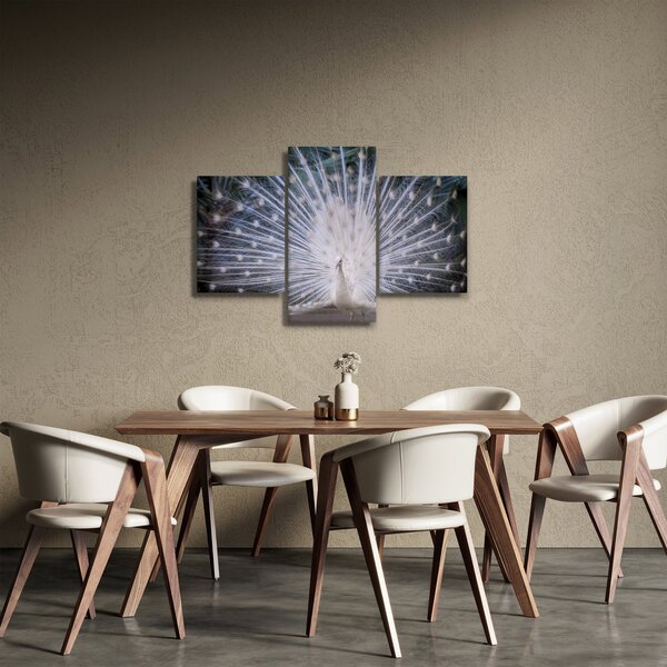 Kép - Fehér páva (90x60 cm)