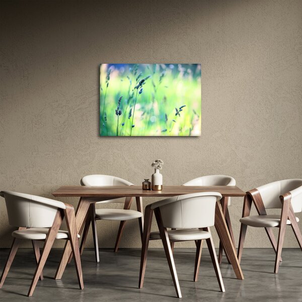 Kép - Rét részlete (70x50 cm)