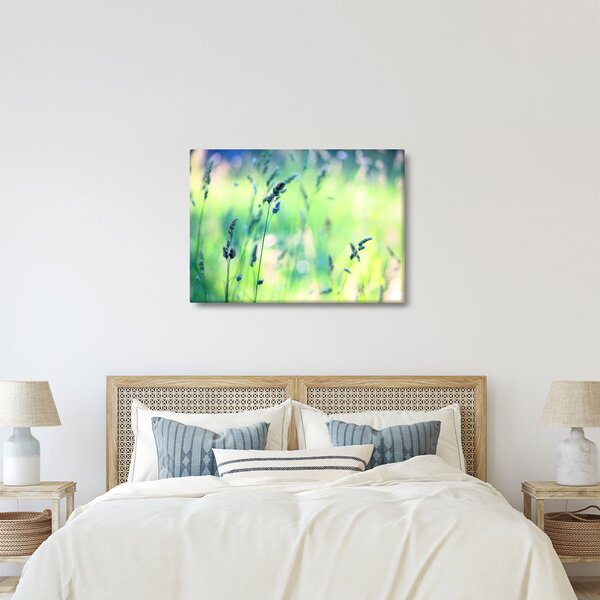Kép - Rét részlete (70x50 cm)