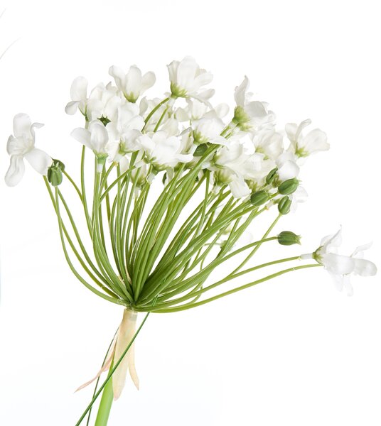 Műnövény ONION GRASS 120 cm Fehér