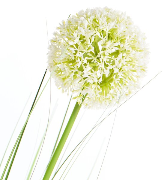 Műnövény SNOWBALL BUSH 125 cm Zöld
