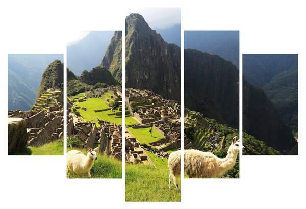 Kép - Lámák Machu Picchuban (150x105 cm)
