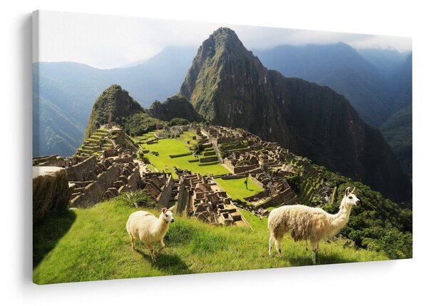 Kép - Lámák Machu Picchuban (90x60 cm)