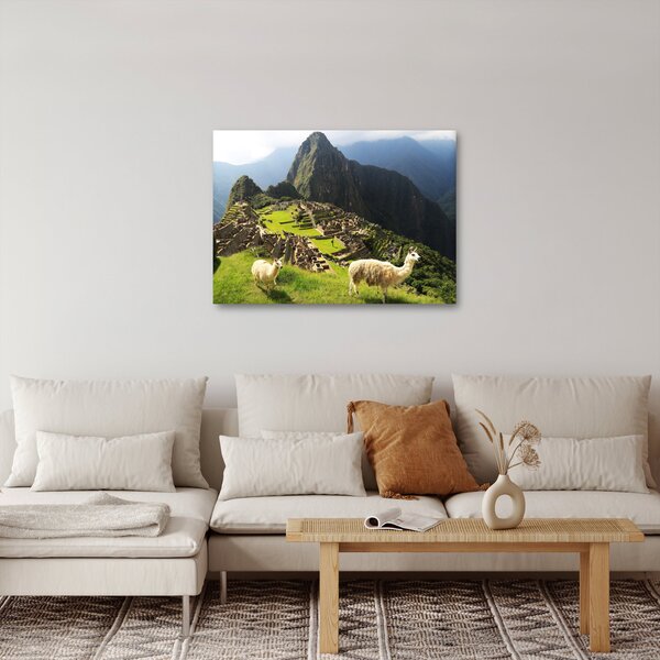 Kép - Lámák Machu Picchuban (70x50 cm)