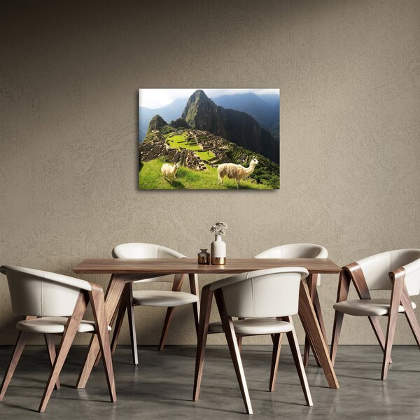 Kép - Lámák Machu Picchuban (70x50 cm)
