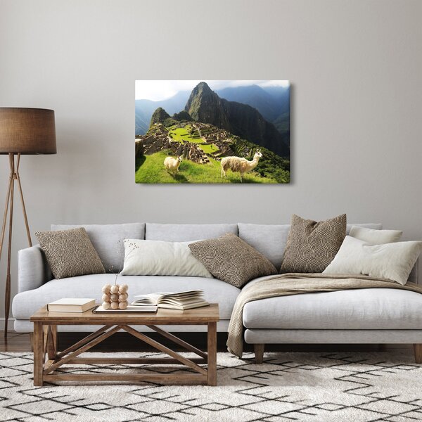 Kép - Lámák Machu Picchuban (90x60 cm)
