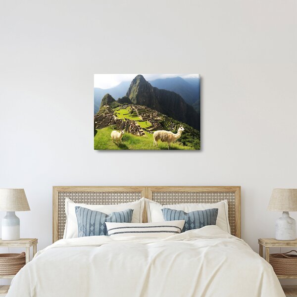 Kép - Lámák Machu Picchuban (70x50 cm)