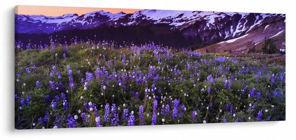 Kép - Vulkán és a virágok (120x50 cm)