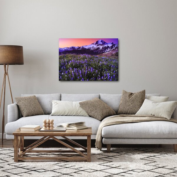 Kép - Vulkán és a virágok (70x50 cm)