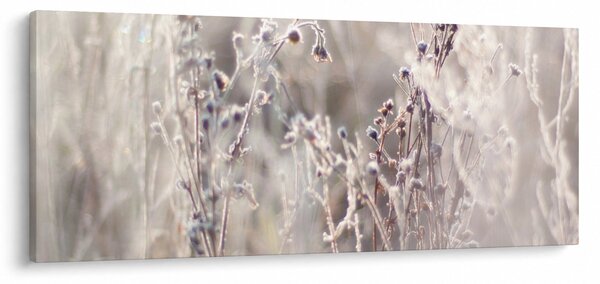 Kép - Növény (120x50 cm)