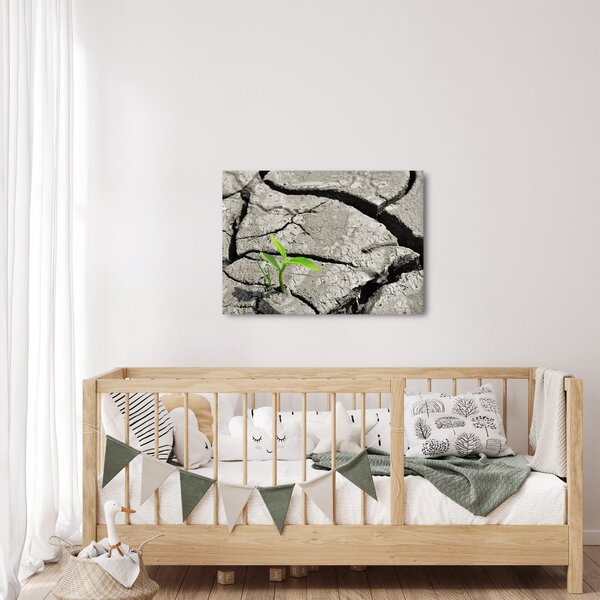 Kép - Repedések (70x50 cm)