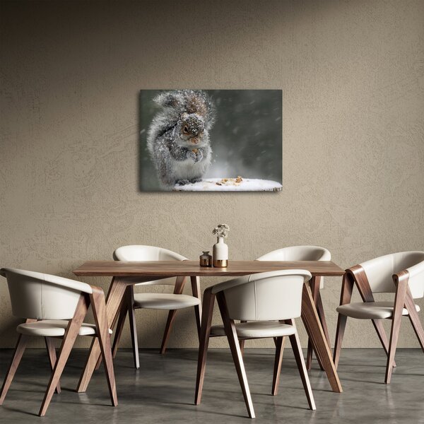 Kép - Mókus télen (70x50 cm)