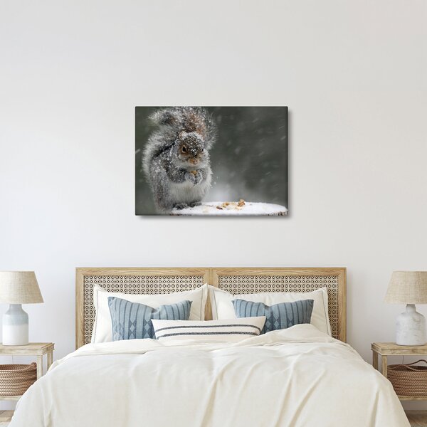 Kép - Mókus télen (70x50 cm)