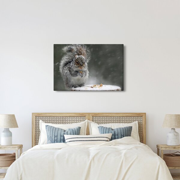 Kép - Mókus télen (90x60 cm)