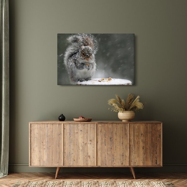 Kép - Mókus télen (90x60 cm)