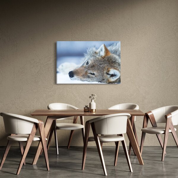 Kép - Farkas (90x60 cm)