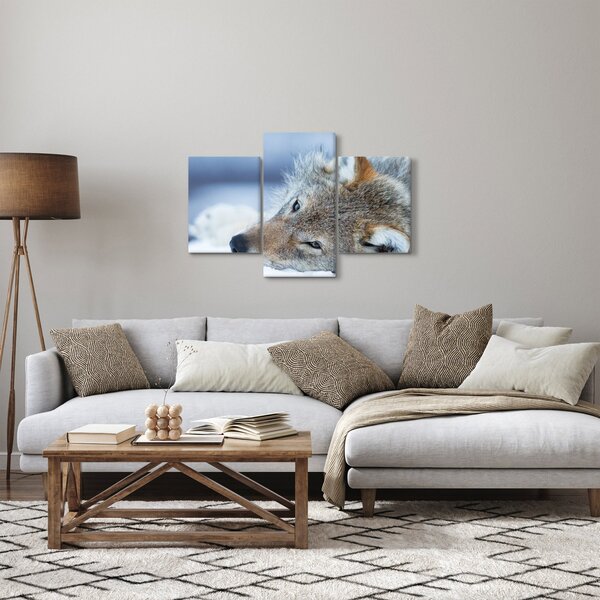 Kép - Farkas (90x60 cm)