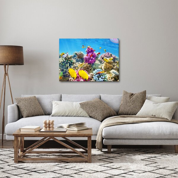 Kép - A tenger világa (70x50 cm)