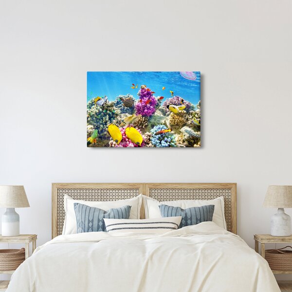 Kép - A tenger világa (90x60 cm)