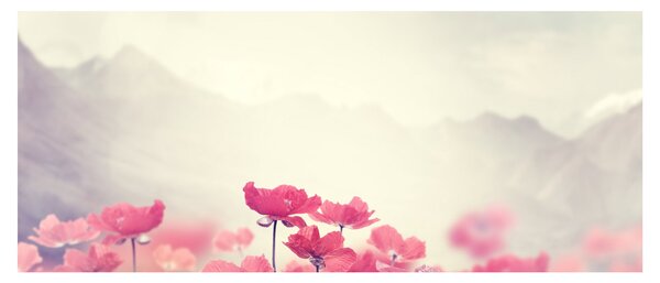 Kép - Pipacsok (120x50 cm)