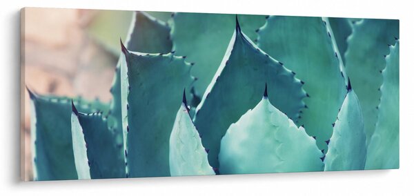 Kép - Szukulent (120x50 cm)