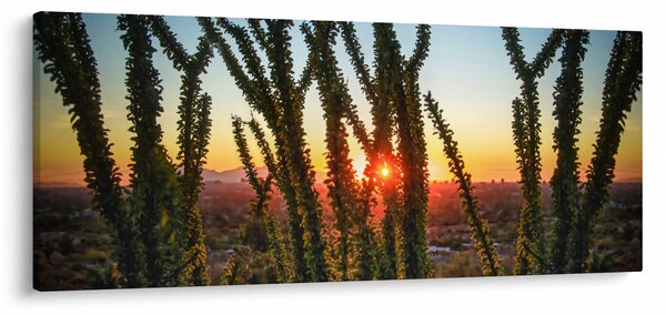 Kép - Növények (120x50 cm)