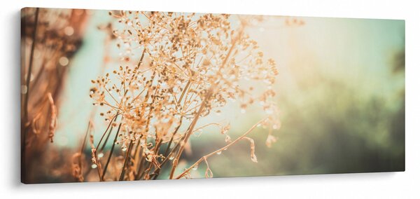 Kép - Réti növények (120x50 cm)