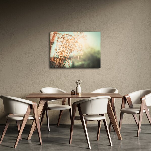 Kép - Réti növények (70x50 cm)