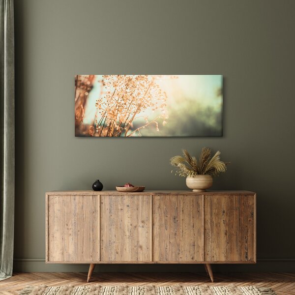 Kép - Réti növények (120x50 cm)