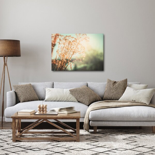 Kép - Réti növények (70x50 cm)