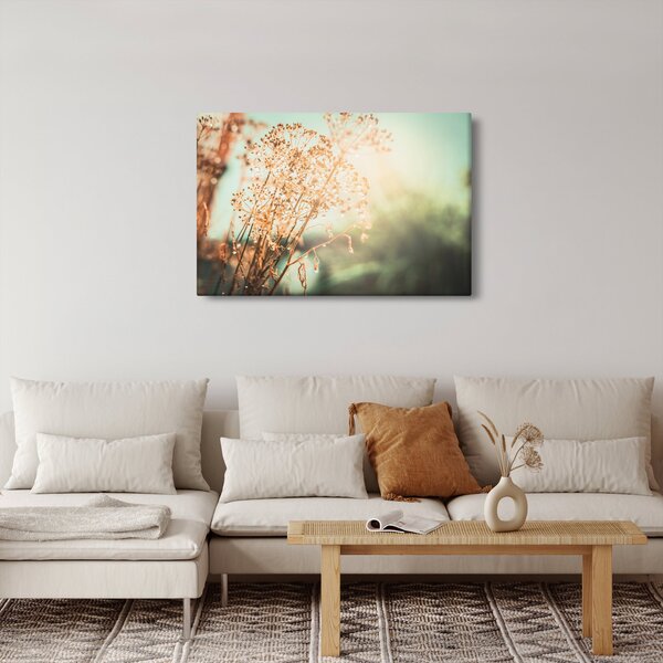 Kép - Réti növények (90x60 cm)