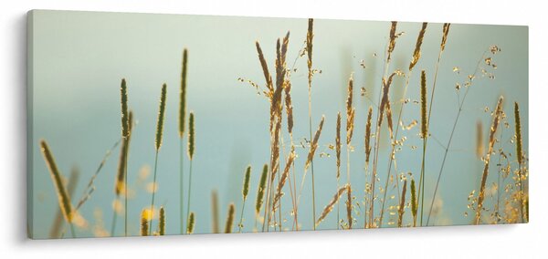 Kép - Réti pillanat (120x50 cm)