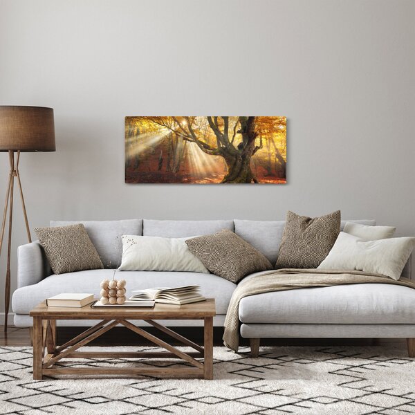 Kép - Őszi fény (120x50 cm)
