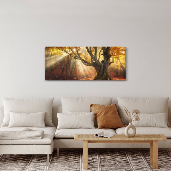 Kép - Őszi fény (120x50 cm)