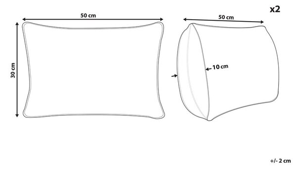 2 db díszpárna ASARUM Pamut 30 x 50 cm Színes