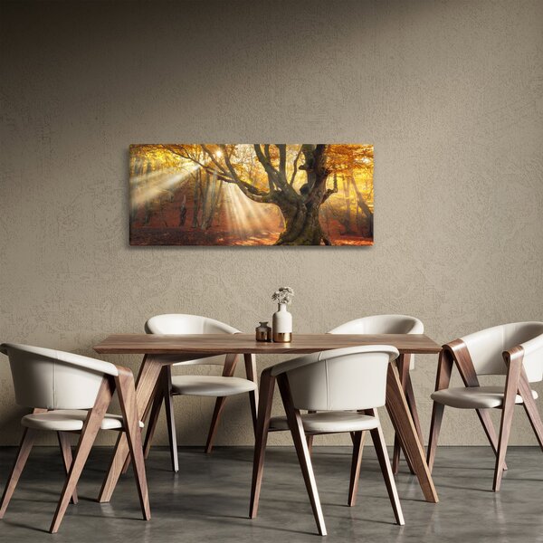 Kép - Őszi fény (120x50 cm)