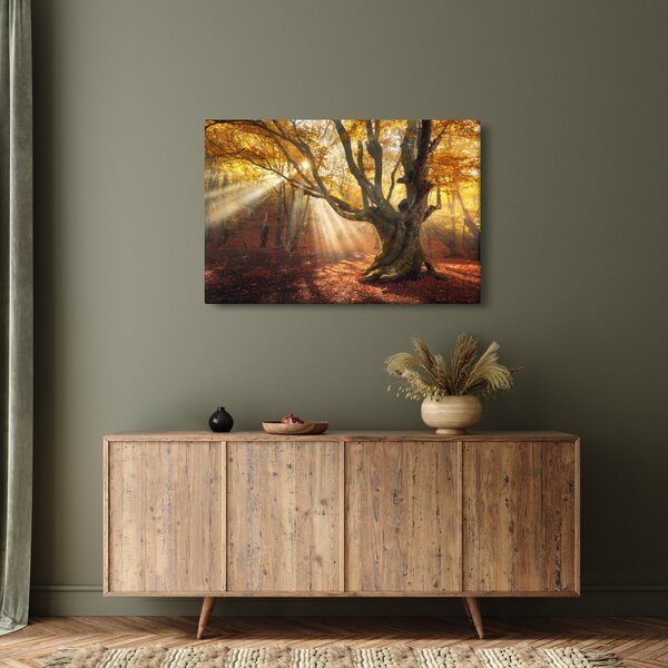 Kép - Őszi fény (90x60 cm)