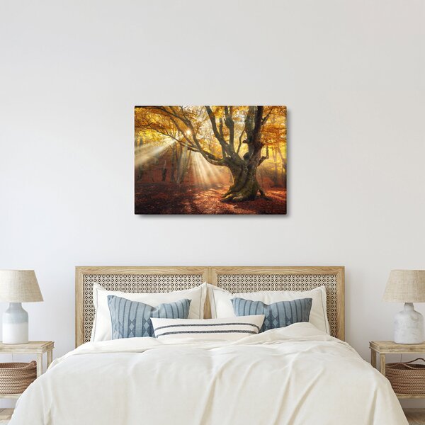 Kép - Őszi fény (70x50 cm)