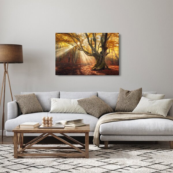 Kép - Őszi fény (90x60 cm)