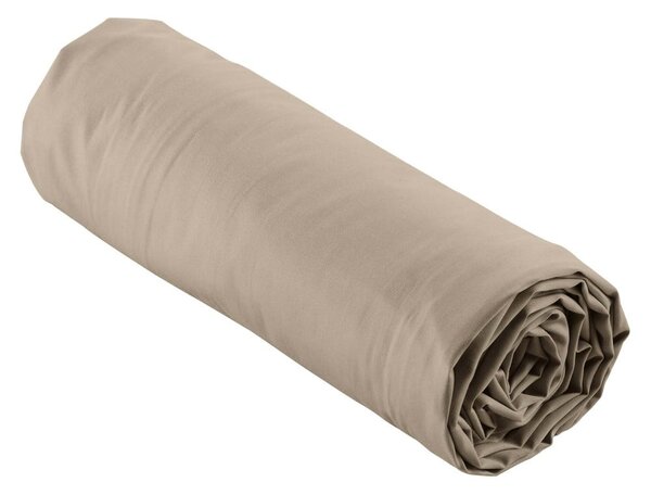Világosbarna gumis pamut-perkál lepedő 180x200 cm Percaline – douceur d'intérieur