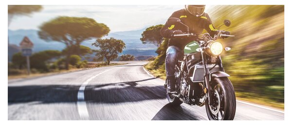 Kép - Motoros (120x50 cm)