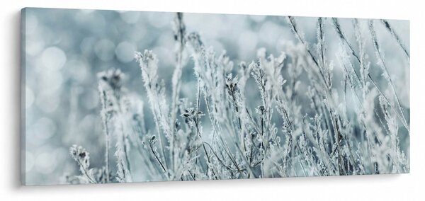 Kép - Téli varázslat (120x50 cm)