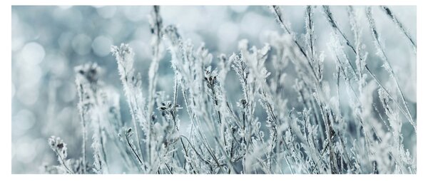 Kép - Téli varázslat (120x50 cm)
